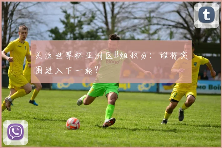 关注世界杯亚洲区B组积分：谁将突围进入下一轮？