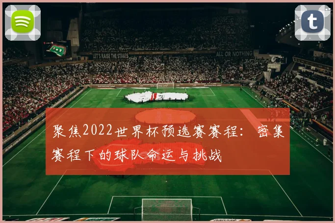 聚焦2022世界杯预选赛赛程:密集赛程下的球队命运与挑战