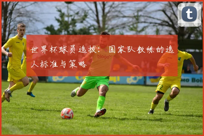 世界杯球员选拔:国家队教练的选人标准与策略
