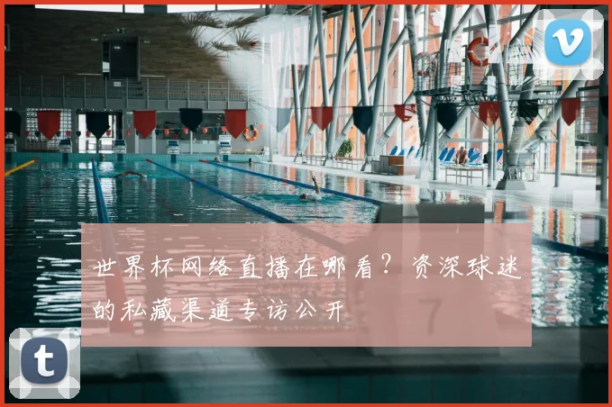 世界杯网络直播在哪看?资深球迷的私藏渠道专访公开