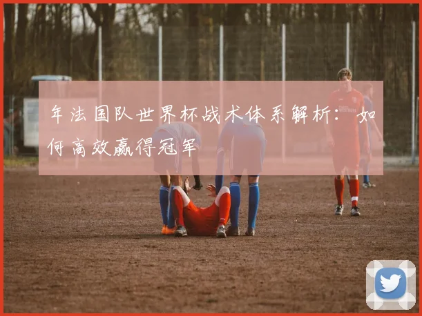 年法国队世界杯战术体系解析:如何高效赢得冠军
